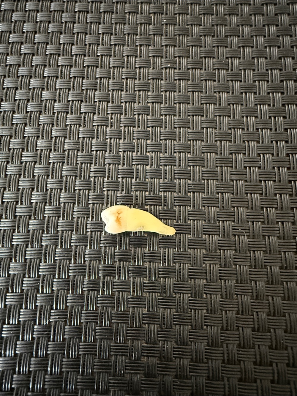 Small Yellow Tooth Charm